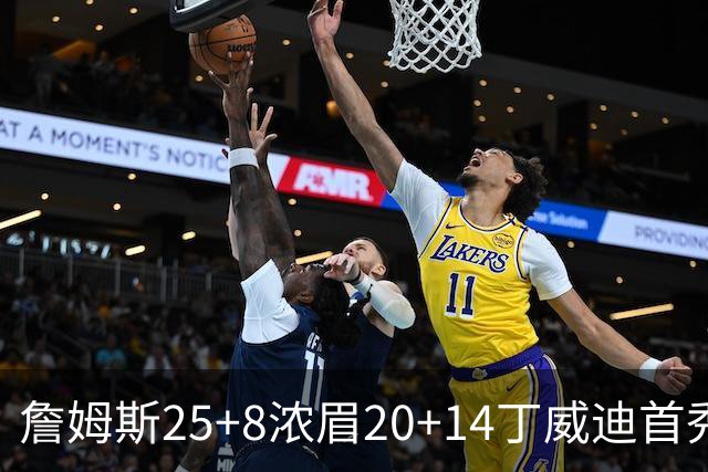 詹姆斯25+8浓眉20+14丁威迪首秀 湖人大胜活塞